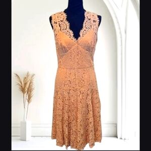 Elegant Lace Sleeveless Dress